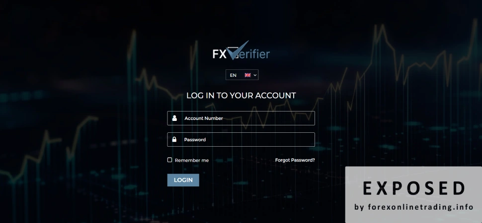 FXVerifier: A Comprehensive Review